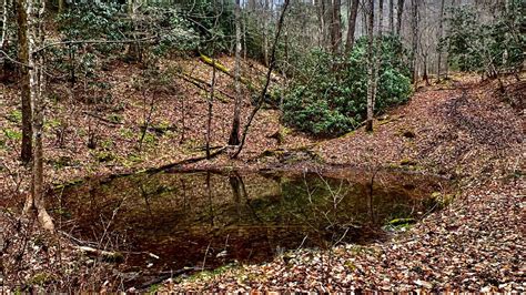 Secluded Mountain Property Overlooking Historical Maymead And Neva Tn