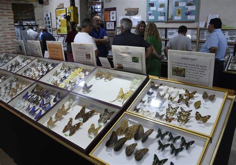 Un Año Y 600 Visitas Desde La Apertura De La Casa Museo De Insectos En