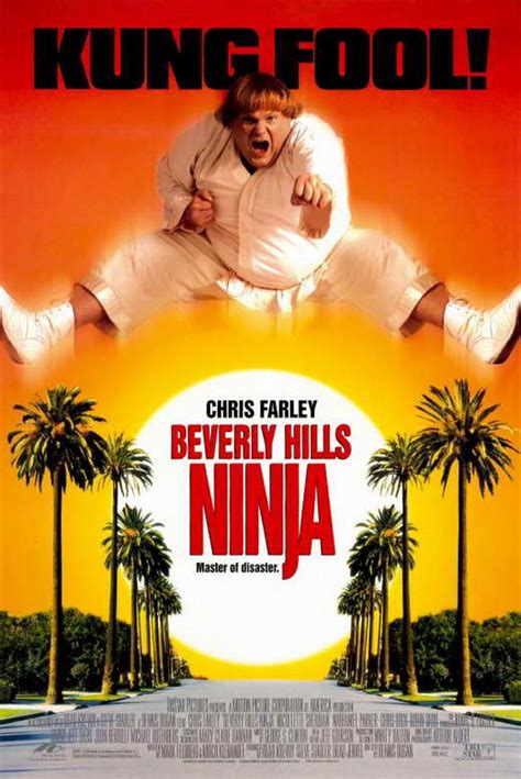 Beverly Hills Ninja Movie Posters From Movie Poster Shop