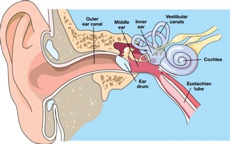 How To Pop Ears