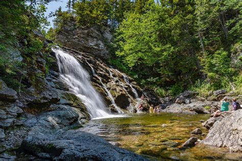 Your Guide to Fundy National Park in New Brunswick: Experience Nature at Its Best - We Explore ...