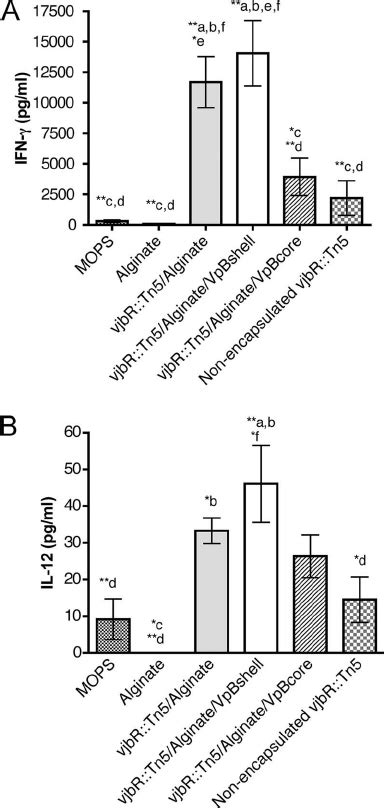 Cytokine Production In The Sera Of Balb C Mice Immunized With The Vjbr