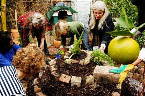 Permaculture Description Principles Facts Britannica