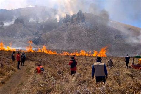 Kebakaran Gunung Bromo Padam Jalur Wisata Kembali Dibuka