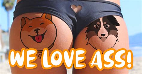 Shibance Partnered With Australian Safe Shepherd ASS Smart