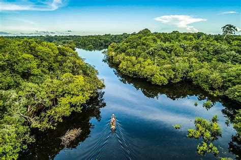 A Internacionalização Da Amazônia Internacional Da Amazônia