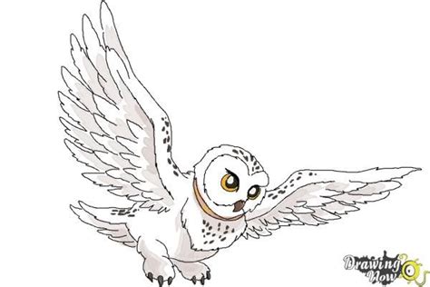 How To Draw Hedwig From Harry Potter Step 11 Harry Potter Drawings Easy Harry Potter