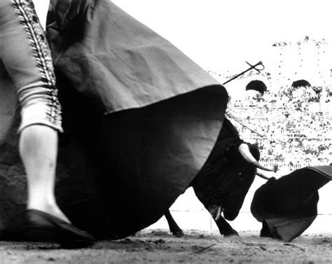 Фотомастер Люсьен Клерг / Lucien Clergue: picturehistory — LiveJournal