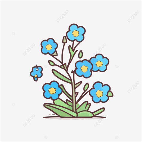 Forget Me Not Bud And Flower Vector Flower Illustration A Lineal Icon