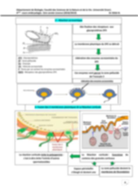 SOLUTION PREMORPHOGENESE FECONDATION SEGMENTATION Studypool