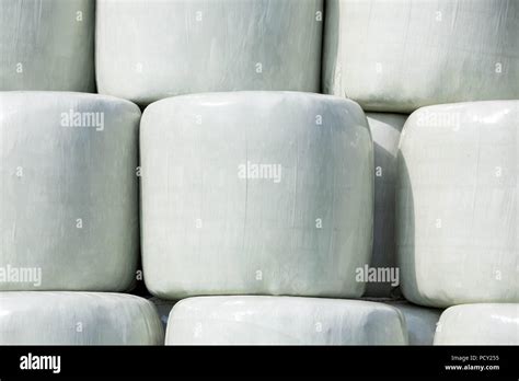 Stacked Round Silage Bales Wrapped In White Film To Be Used Later For