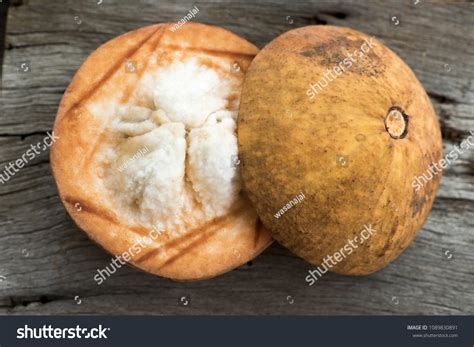 Santol Sentul Red Sentol Yellow Sentol Stock Photo 1089830891 ...