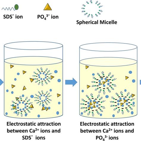 Schematic Representation Of Nucleation And Growth Mechanism Of