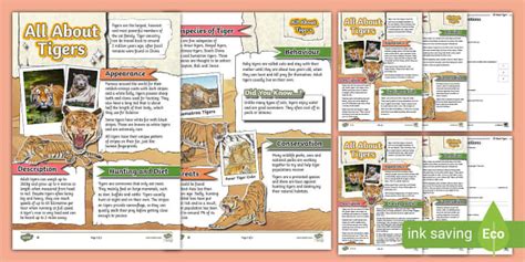 Lks All About Tigers Differentiated Reading Comprehension Activity