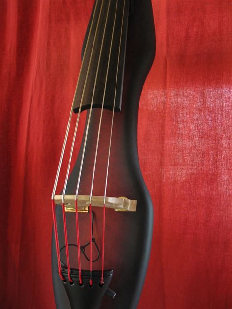 Electric Upright Bass Plans