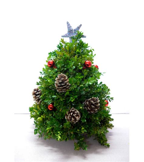 Decorated Boxwood Christmas Tree Flushing Ny Florist