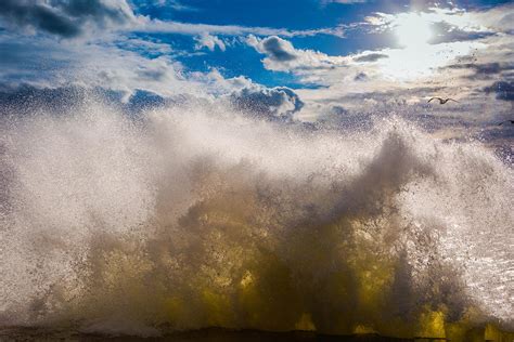 photograph  freddie bennett fine art america