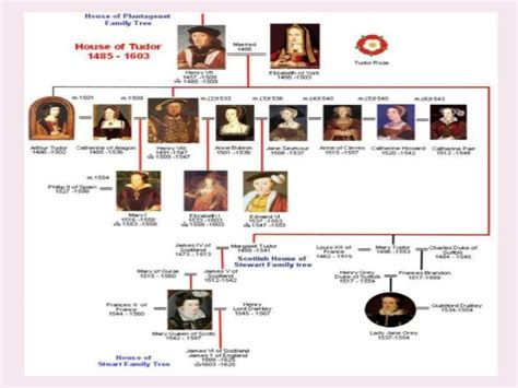 Tudor Dynasty Timeline