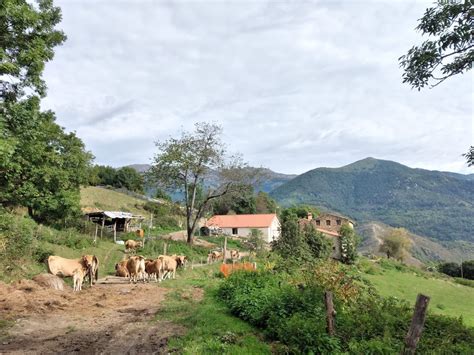 De Prats de Molló a Manlleu a peu per les rutes oblidades dels maquis