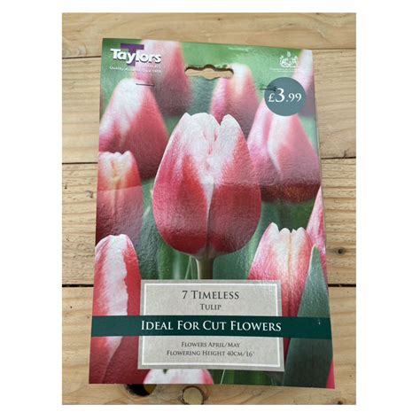 Tulip - Timeless (7) – Lay of the Land Ltd