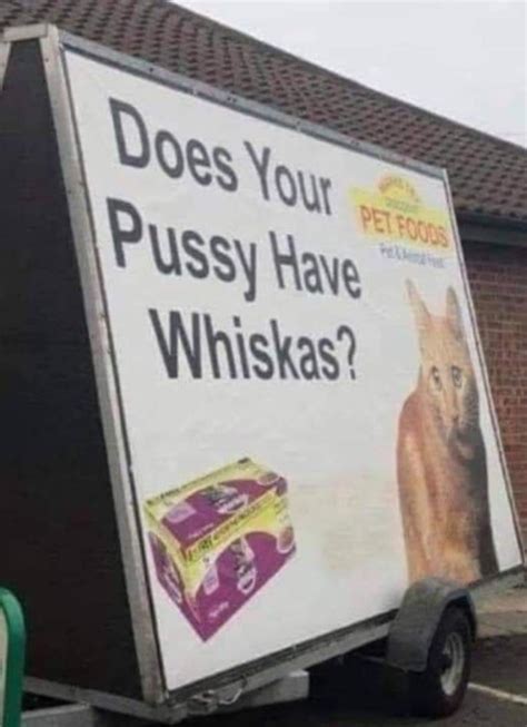 Whiskas Cat Food Advert : r/theyknew