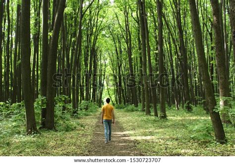 Man Yellow Shirt Walks Deeper Into Stock Photo 1530723707 Shutterstock