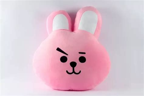 Almohada Coj N Peluche Bts Bt Cooky Conejo Cuotas Sin Inter S