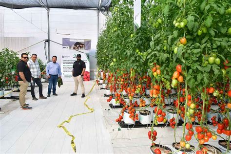 Inauguran edición 28 de expo agroalimentaria Guanajuato Regional 10