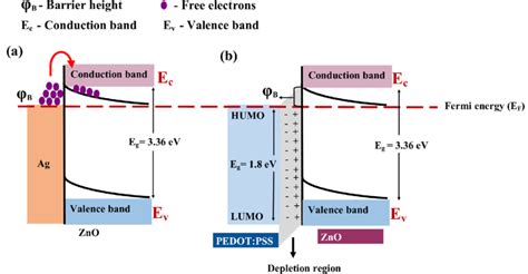 Schematic Energy Level Diagrams For A Ag ZnO And B PEDOT PSS ZnO