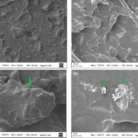 Dma Curves Of Tpssio2 Composites Under Ultrasonic Action Download