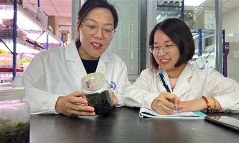 Chinese scientists investigate moss to make Mars habitable