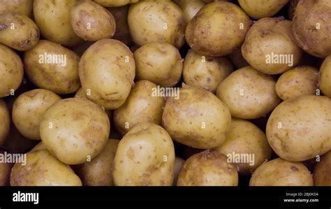 Starch Potatoes Hi Res Stock Photography And Images Alamy