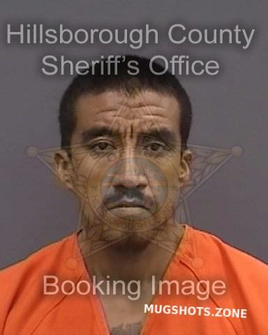 Mendoza Jose Hillsborough County Mugshots Zone