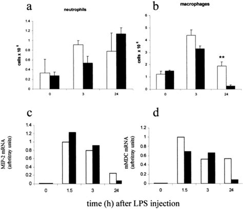 Analysis Of Peritoneal Lavage Cells After High Dose Lps Treatment