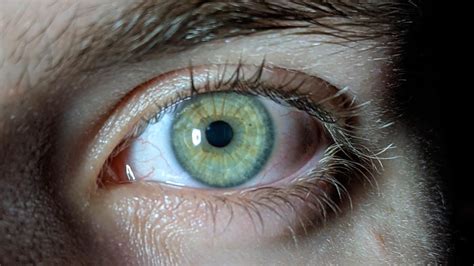 dark blue eyes eyes