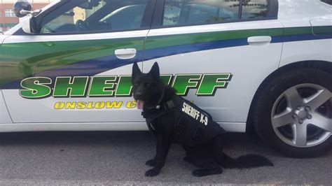 Remembering Blek Retired Onslow County K9 Officer Passes Away