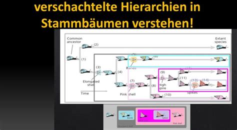 Internet Evoluzzer Vom Dino Zum Vogel Teil 6 Körpertemperatur