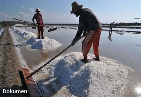 Pt Garam Mulai Hasilkan Produksi Garam Ton Kabupaten Sumenep