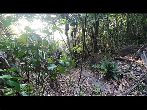 Lavei Paty Bumbum Xixi Alex Lima El Toro De Oro XVIDEOS