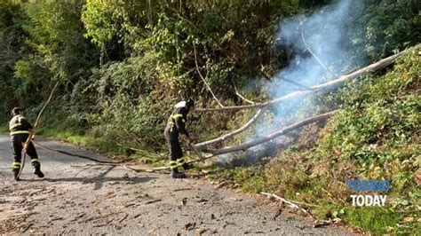 Albero Caduto Sulla Strada In Borgata Giorda Superiore A Rubiana