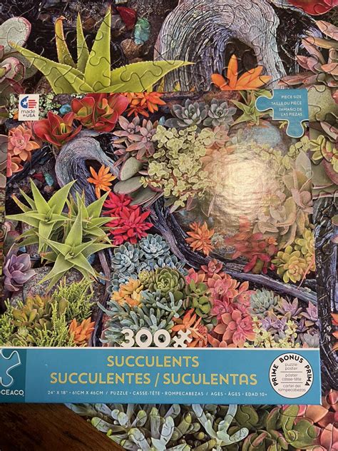 Ceaco Succulents Collection Desert Blooms 300 Piece Oversized