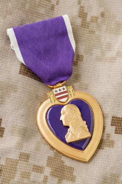 Military Purple Heart Stock Photos Royalty Free Military Purple Heart