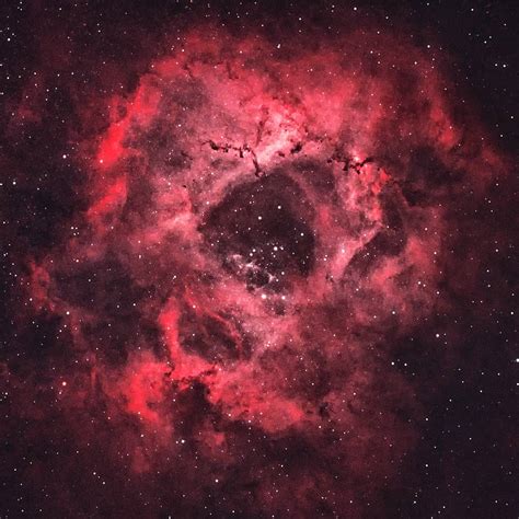 The Rosette Nebula Ngc 2244 Mike Jolley