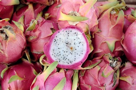 Frutto Del Drago Pitaya Cos Magazine Delle Donne