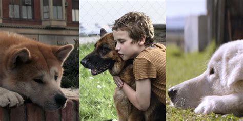 Rescued By Ruby, And 9 Other Dog Films Based On A True Story