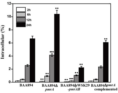 Frontiers The Characterization Of Two Component System Pmra Pmrb In