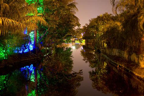 Miami Swamp Lights Photograph by Shahiz Almonte