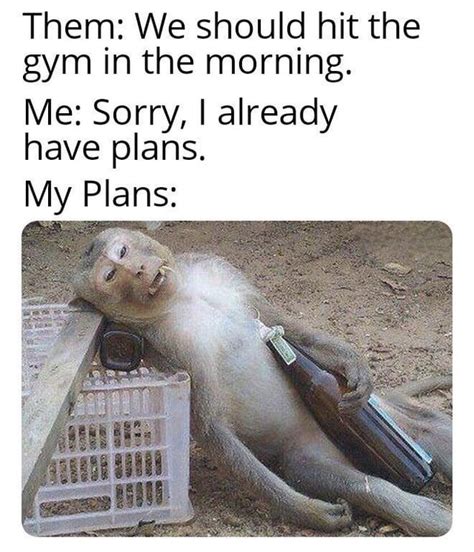 Why Is Life So Hard Rstrangeandfunny