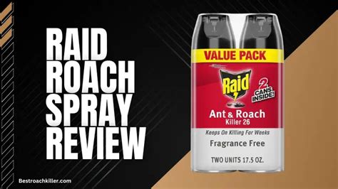 Raid Roach Spray Review - Expert Perspective