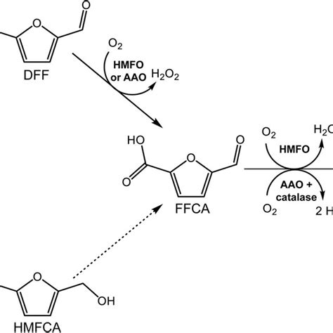 Hydroxymethylfurfural Hmf Conversion Into Furandicarboxylic